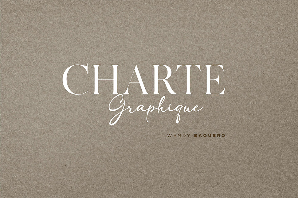 PIV Charte graphique